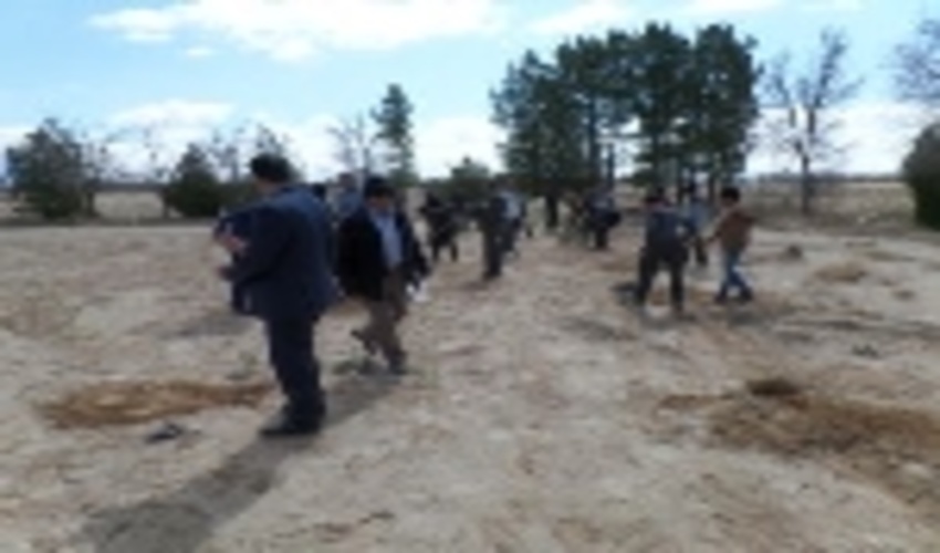 كاشت نهال درمحل فضاي سبزامامزاده سيدمحمد رشكويه ازتوابع شهرستان تفت