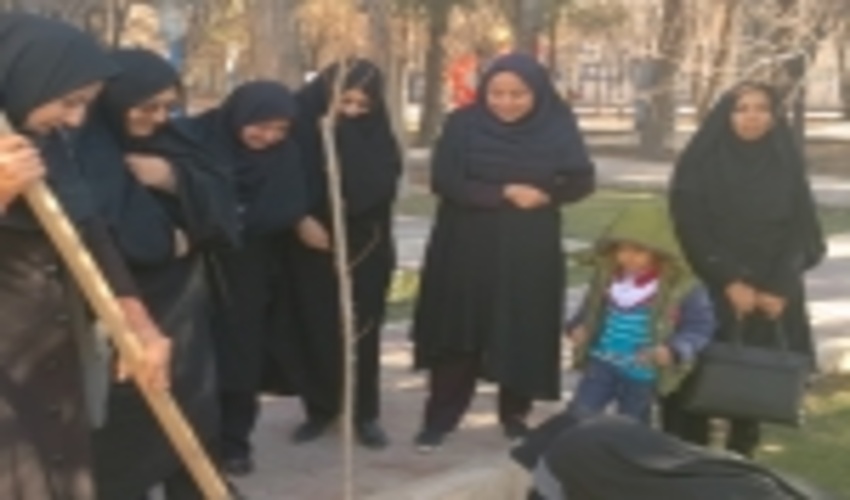 مراسم نهالکاری توسط بانوان کارمند شهرستان اردکان به مناسبت دومین روزاز هفته منابع طبیعی
