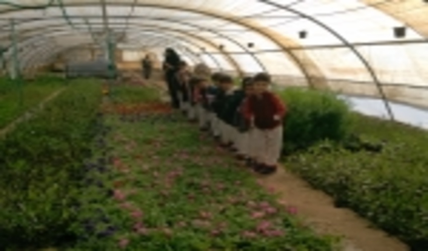 بازدید دانش آموزان اردکانی ازنهالستان اداره منابع طبیعی و آبخیزداری شهرستان به مناسبت هفته منابع طبیعی 