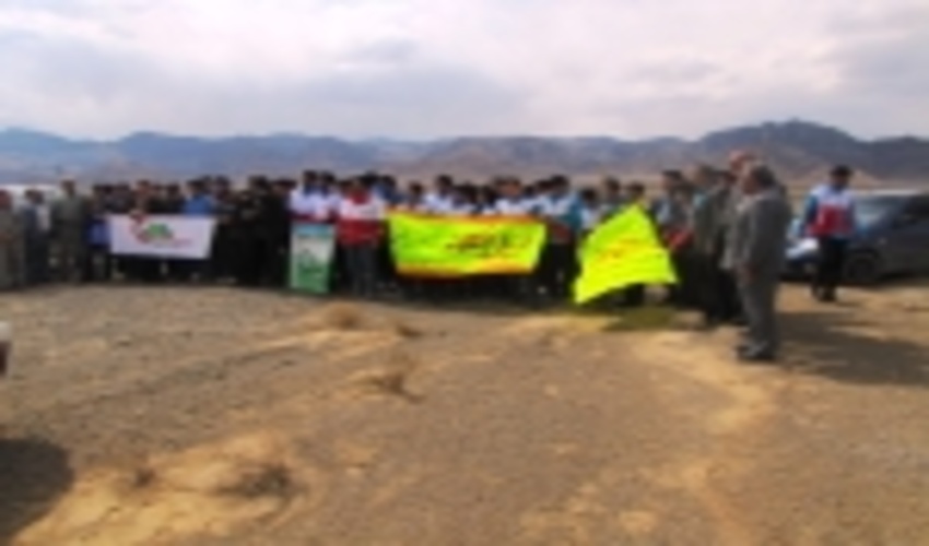 اجرای طرح  جنگلانه هفته منابع طبیعی در شهرستان ابرکوه