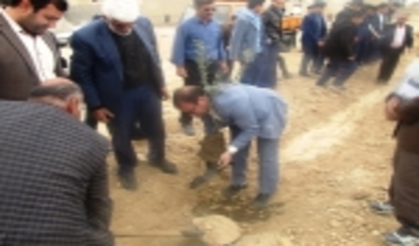 غرس 300اصله نهال زیتون درجشن درختکاری شهرستان ابرکوه