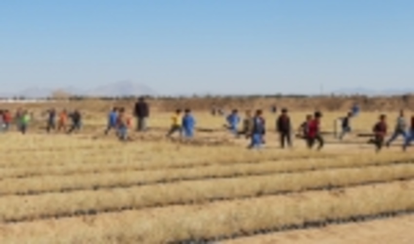 دانش آموزان میبدی از نهالستان اداره منابع طبیعی وآبخیزداری به مناسبت هفته منابع طبیعی بازدیدکردند.