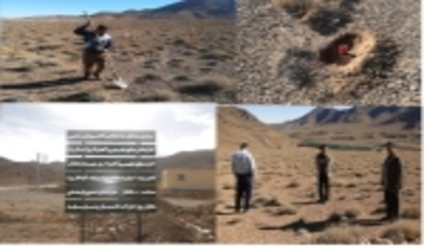 پایان پروژه کپه کاری حوزه خضرآباد از محل اعتبارات صندوق توسعه ملی