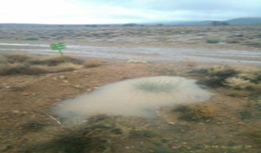 آبگیری هلالی های آبگیر جنگلهای دست کاشت شهرستان خاتم