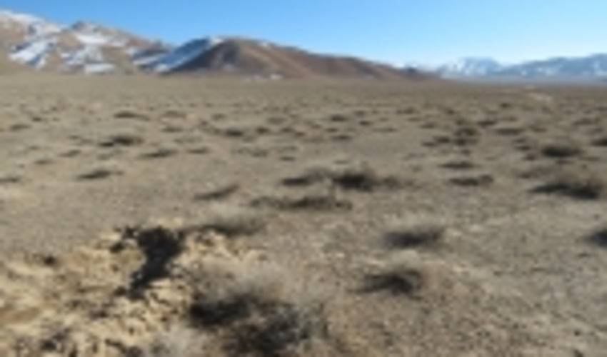 بازدید مدیر کل دفتر آبخیزداری سازمان جنگلها ومراتع کشور از پروژه های در حال اجرا صندوق توسعه ملی شهرستان میبد