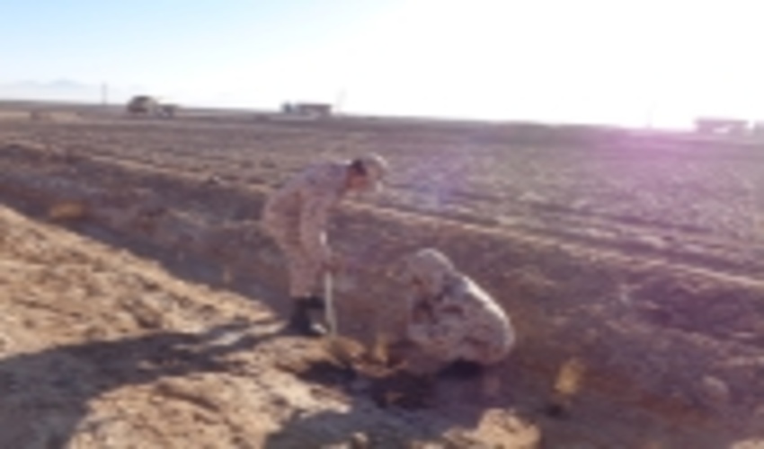 اجرای عملیات باز کاشت نهال تاغ در 300 هکتار از مناطق بیابانی شمال اردکان