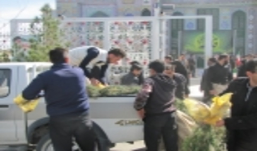 توزیع 300 اصله نهال رایگان دراداره منابع طبیعی  وآبخیزداری شهرستان ابرکوه