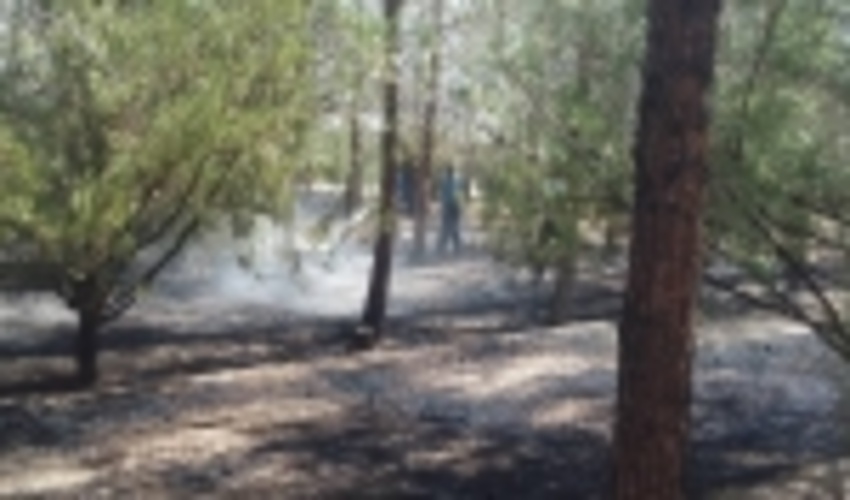 مهار آتش سوزی در بوستان بهاران فراغه شهرستان ابرکوه