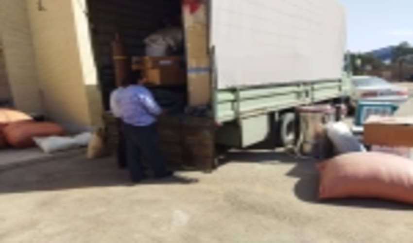 کشف وضبط انواع گیاهان دارویی  و مرتعی توسط مامورین یگان حفاظت منابع طبیعی شهرستان یزد