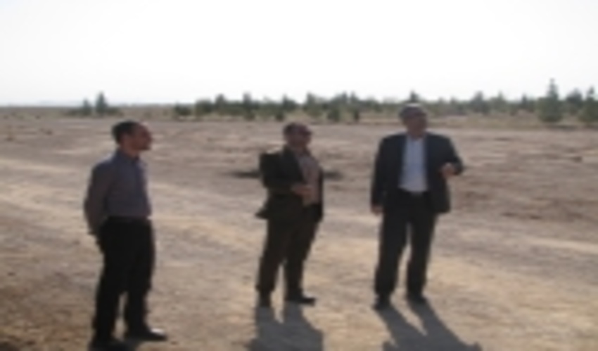 بازدید مدیرکل اداره منابع طبیعی وآبخیزداری استان یزد از پارکهاوفضای سبزشهرستان ابرکوه