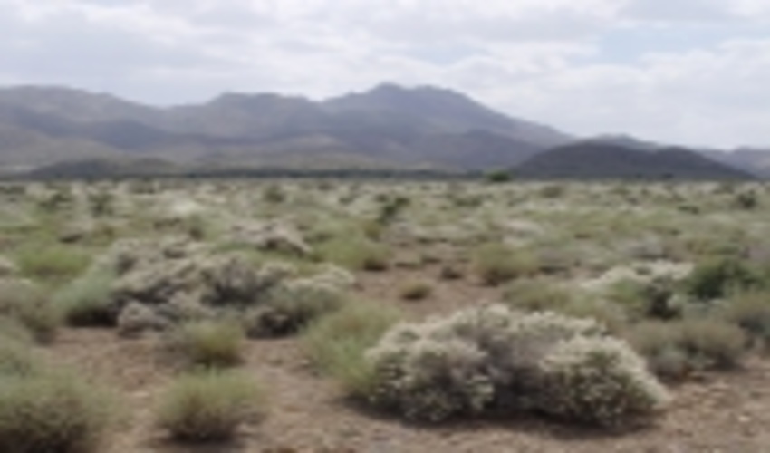 پروانه مرتعداراني که تا سال 1400 طرح ارائه نکنند ابطال خواهند شد.