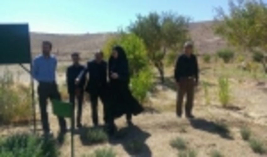 بازدید معاونت پیشگیری از وقوع جرم دادگستری استان یزد از شهرستان بهاباد