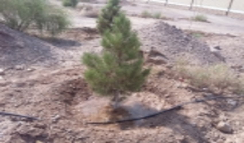 بهره برداری از سیستم آبیاری تحت فشار پارک صنایع شهرستان اردکان 