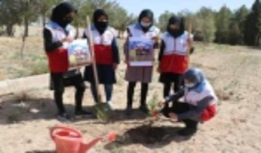 برگزاری مسابقه نهالکاری جوانان عضوجمعیت هلال احمر درشهرستان خاتم