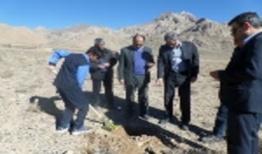 طرح ملی «جنگلانه» درسطح 50 هکتار از عرصه های طبیعی شهرستان تفت  