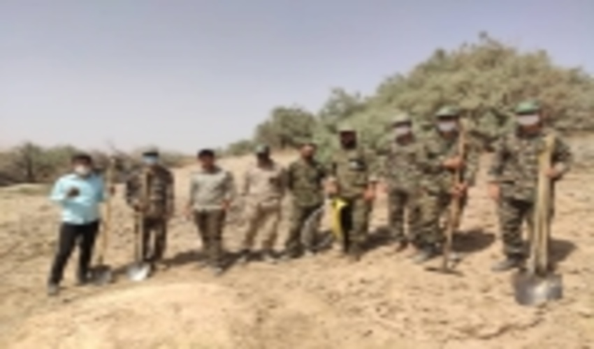 حریق به دامن مراتع شهرستان بهاباد افتاد