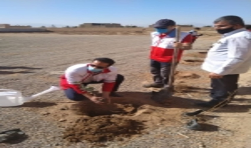 غرس120 اصله نهال بياد شهداي بخش زارچ با همکاري سازمان هلال احمر استان يزد و اداره منابع طبيعي شهرستان يزد 