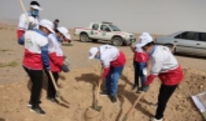 برگزاری مسابقه نهالکاری جوانان جمعیت هلال احمرباهمکاری اداره منابع طبیعی وآبخیزداری شهرستان ابرکوه