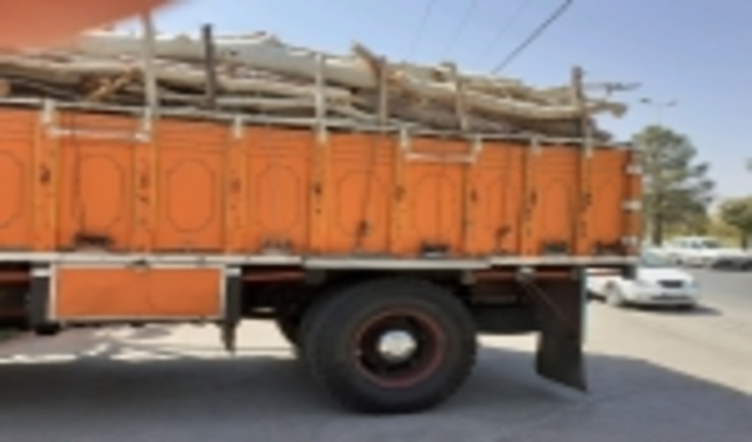 عملکرد یگان حفاظت منابع طبیعی شهرستان مهریز در جلوگیری از قاچاق چوب 