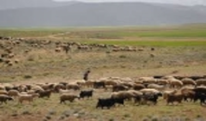 اهم فعاليت هاي اداره منابع طبيعي و آبخيزداري اردکان در راستای تمدید پروانه چرا مرتعداران تا اذر ماه سال جاری 