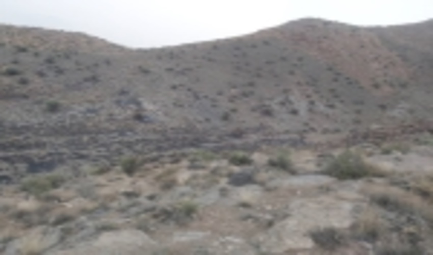 آتش سوزی در مراتع روستای درند شهرستان بهاباد 