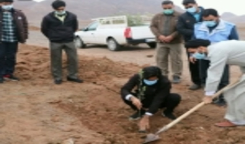 اجرای طرح نهالکاری بصورت خانوادگی در شهرستان اردکان