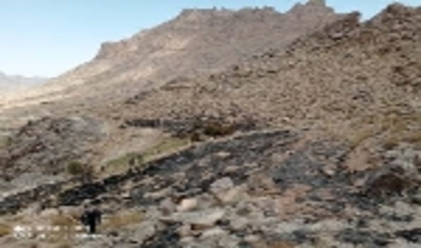 آتش سوزی در اراضی مرتعی برزین ده بالا از توابع شهرستان تفت