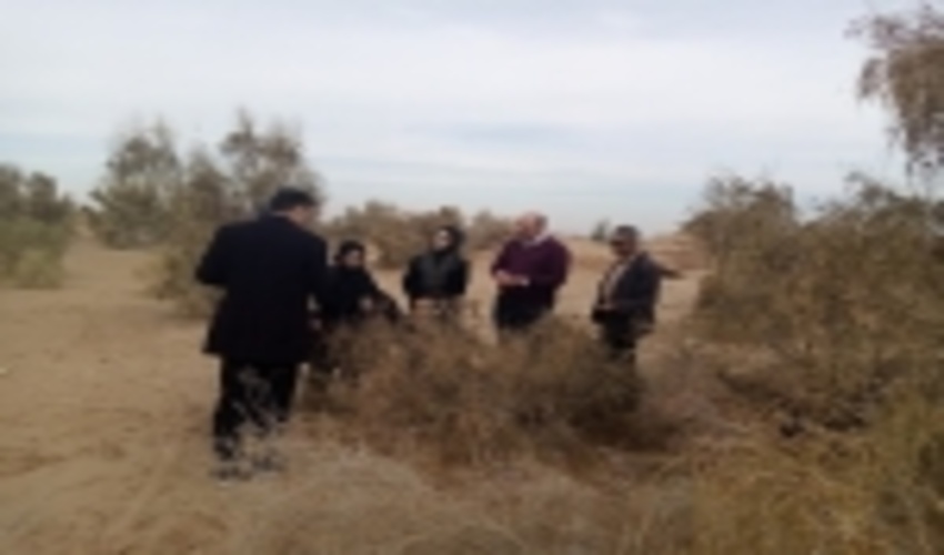 بازدید معاون دفتر روابط عمومی سازمان جنگلها، مراتع و آبخیزداری از اقدامات انجام گرفته توسط اداره منابع طبیعی شهرستان اشکذر