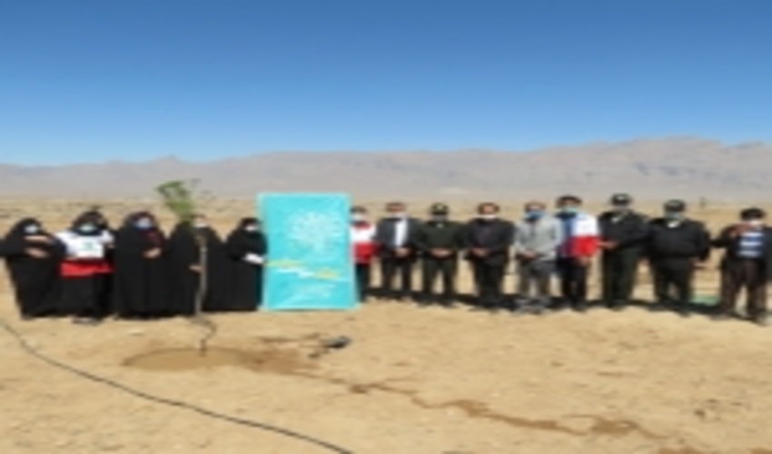 کاشت 313 نهال به یاد شهدای شهرستان مهریز در بوستان یاس نبی 