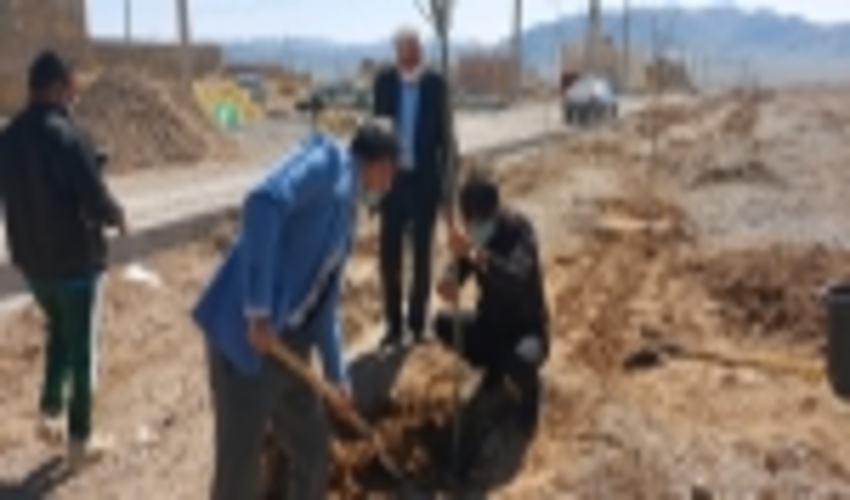غرس نهال در بخش خرانق شهرستان اردکان به مناسبت هفته منابع طبیعی