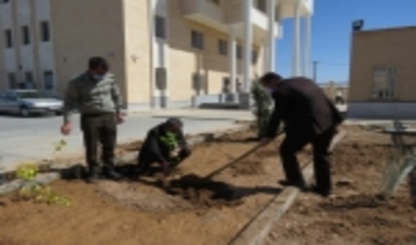غرس نهال توسط رئيس و دادستان دادگستري شهرستان بافق