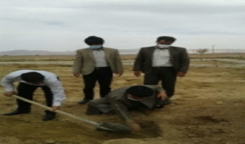 غرس نهال در بخش عقدای شهرستان اردکان به مناسبت هفته منابع طبیعی 