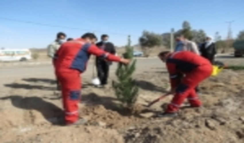 غرس نهال توسط مدير پروژه و كاركنان مجتمع فسفات آسفوردي شهرستان بافق