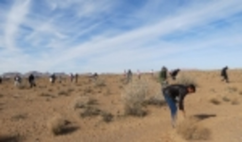 برگزاری طرح ملی جنگلانه در مساحتي بالغ بر  100 هكتار از مراتع دشت شیطور دولت آباد 