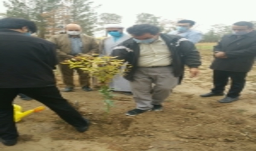 شروع عملیات بیولوژیک با مراسم غرس نهال به مناسبت روز جهانی خاک در شهرستان اردکان