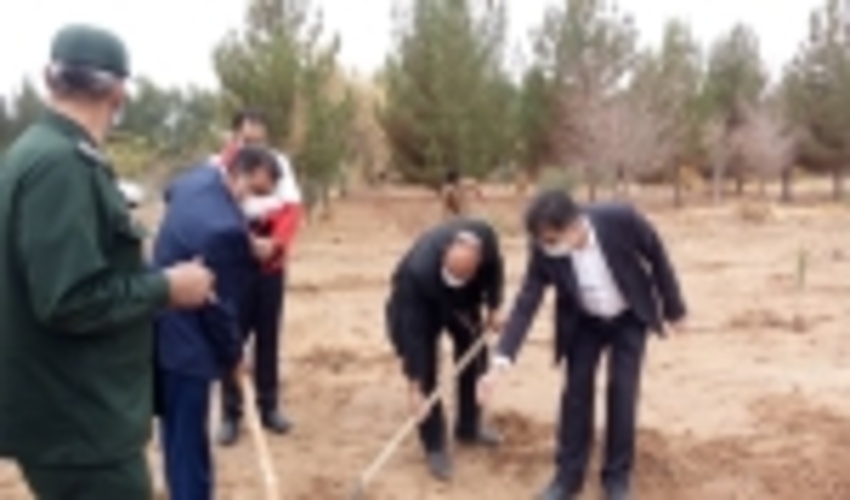 بزرگداشت روز جهانی خاک با کشت نهال در شهرستان اشکذر