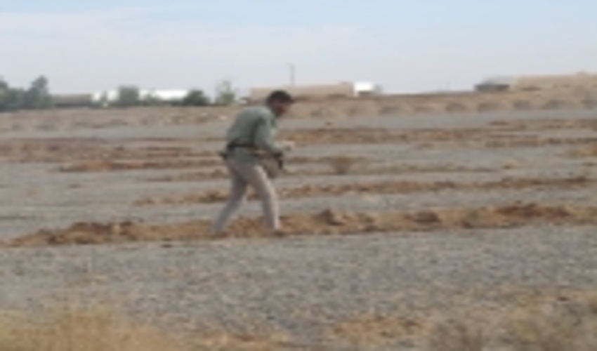 آغاز عملیات بذرکاری  درهلالی های آبگیر مراتع شهرستان ابرکوه