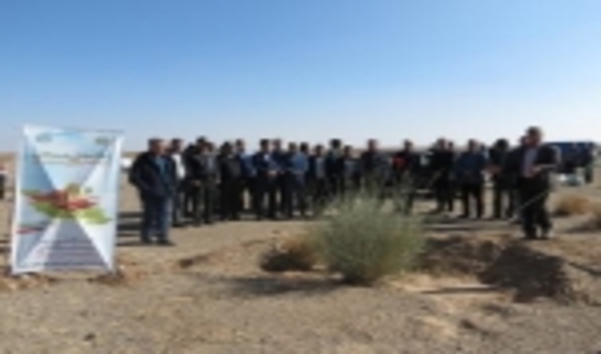 اجرای طرح ملی نهالکاری همگانی برای ایرانی سرسبز درشهرستان خاتم