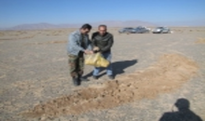 برگزاری مراسم ملی بسیج همگانی درختکاری درشهرستان ابرکوه