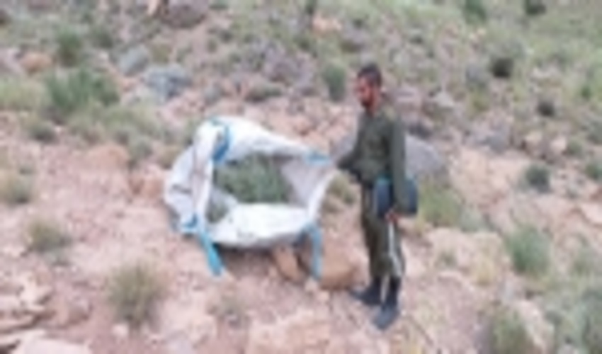 کشف و ضبط محموله گیاهان دارویی توسط یگان حفاظت منابع طبیعی مهریز