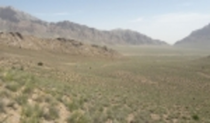 بارش های بهاری مرهمی بر زخم تازیانه های خشکسالی بر روی مراتع شهرستان مهریز