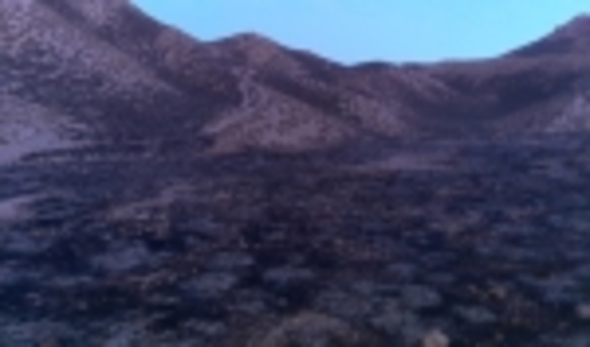 بيش از نود هكتار از مراتع روستاي عزيزآباد منطقه بيدان پنج شهرستان بافق طعمه حريق شد