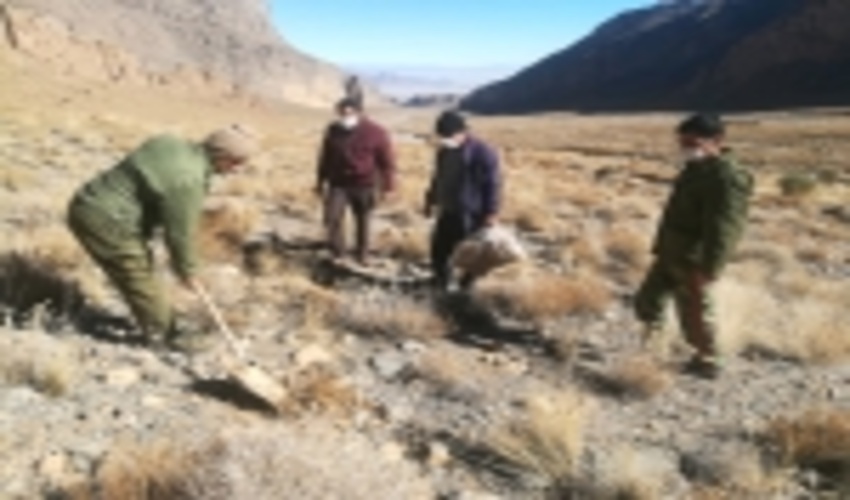 انجام عملیات بذرپاشی و کپه کاری گیاهان دارویی در مرتع روباز شهرستان مهریزبا مشارکت مرتعدار 