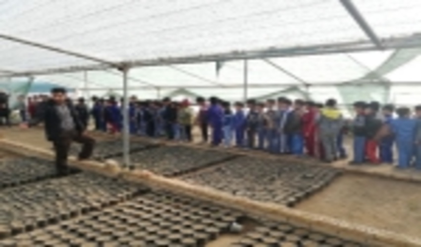 بازدید دانش آموزان دبستان پسرانه  شهید بابایی از نهالستان بزرگ یزد