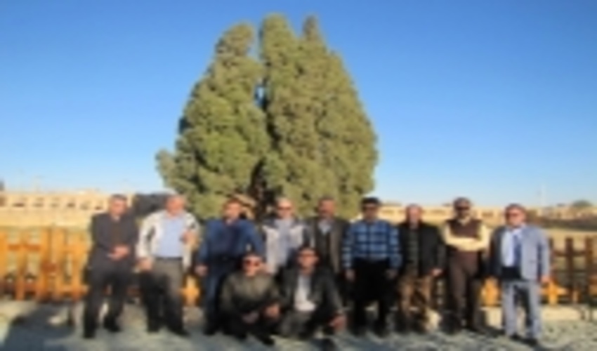 بازدیدروسا ومعاونین اداره کل منابع طبیعی و آبخیزداری استان مازندران از پروژه های طرح ترسیب کربن درشهرستان ابرکوه