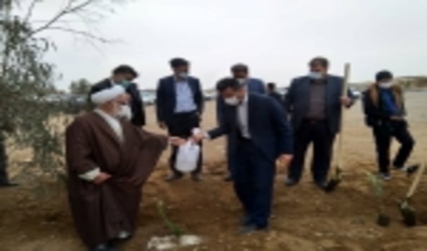 توزیع و کشت نهال در محل نماز جمعه شهرستان اشکذر