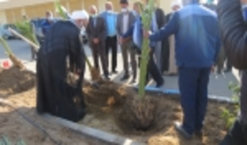 غرس نهال به ياد شهداي والامقام شهرستان بافق در سراي رحمت
