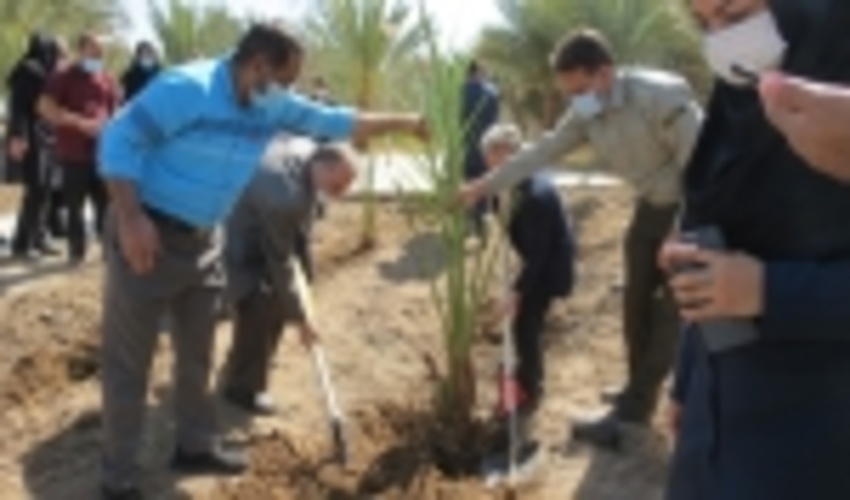 غرس نهال دوستي به ياد شهداي مدافع سلامت در بيمارستان حضرت وليعصر (عج) بافق