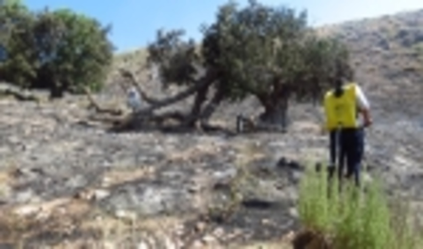 بيش از 2 هكتار از مراتع بيدان پنج شهرستان بافق براي سومين بار متوالي طعمه حريق شد