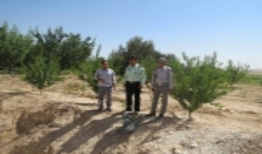 بازدیدفرمانده یگان حفاظت اداره کل منابع طبیعی وآبخیزداری استان ازعرصه های منابع طبیعی شهرستان ابرکوه